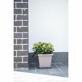 Maceta Cuadrada - GARDEN ID - Teramo Taupe - 40 x 35 cm - Resistente a los arañazos - Efecto Piedra - Con Agujeros