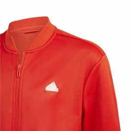 Pantalón de Chándal para Niños Adidas 3Stripes Rojo