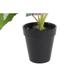 Planta DKD Home Decor Verde Rosa 10 x 22 x 10 cm (12 Unidades)