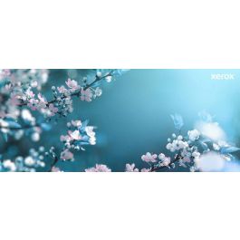 Xerox B225-B230-B235 Toner Negro 1.200 Pág.