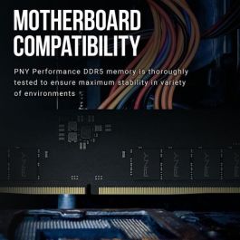 PNY PNY0751492656267 Memoria RAM DDR5 16GB 4800MHz Bajo Consumo