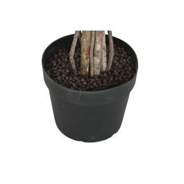 DKD Home Decor Arbol Artificial Ficus Decorativo Verde Marron, 210 cm Alto, Base 100x100 cm, Materiales PE y Madera, Pack 2 Unidades