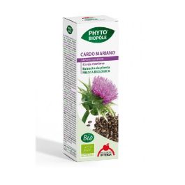 Cardo Mariano Phyto-Biopole Cardo Mariano Phyto-Biopole Precio: 11.5900004. SKU: B1KNCAWMXQ