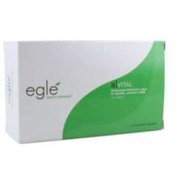 Alvital (Alervital) 60 Cápsulas - Complemento nutricional con Calaguala, MSM y Quercitina para síntomas alérgicos Precio: 26.4999999. SKU: B1E3V7T6SS