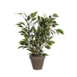 Mica Decorations Ficus Natasja Jaspeado en Maceta Cerámica Gris 4x11.5cm