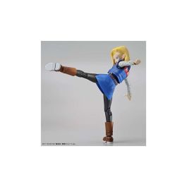 Figure - Rise Standard Android 18 Pkg Renewal Figure - Rise Standard Android 18 Pkg Renewal