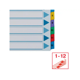 Esselte Separador Numérico 1-12 Cartulina Mylar Borra DIN A4 Multitaladro Multicolor Juego de 12
