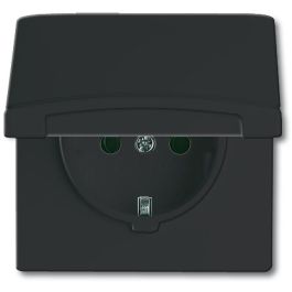 BUSCH-JAEGER 20 EUGK-35-101 Enchufe con tapa abatible resistente a la intemperie IP44, antracita Precio: 37.4374. SKU: B1BK7KV226