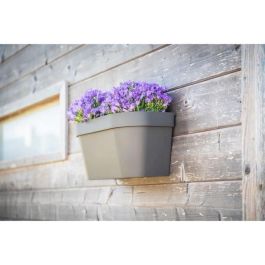 Garden ID 05012107 Maceta de Pared Star Taupe 36x16 cm con Reserva de Agua y Sistema de Rebosadero, Reciclada y 100% Reciclable Garden ID 05012107 Maceta de Pared Star Taupe 36x16 cm con Reserva de Agua y Sistema de Rebosadero, Reciclada y 100% Reciclable