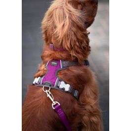 Red Dingo Arnés para Perro Acolchado Morado Talla M | Reflectante, Ajustable, Doble Anillas D | Medidas: Cuello 38-58cm, Cuerpo 46-63cm