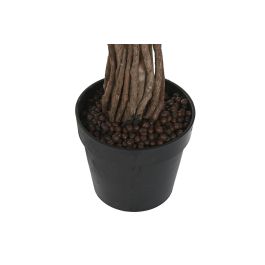 Planta DKD Home Decor Verde 80 x 150 x 80 cm (2 Unidades) Planta DKD Home Decor Verde 80 x 150 x 80 cm (2 Unidades)