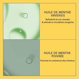 Champú + Acondicionador Nioxin