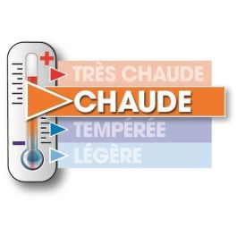 Cocoon Paquete Ropa de Cama Microfibra y Poliéster - Edredón 220x240 cm 400g/m² + 2 Almohadas 60x60 cm 500g/m² Blanco Cálido