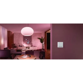 Philips Hue Módulo de interruptor de pared White, trabaja con Alexa, Google Assistant y Apple HomeKit, PHI8719514318045