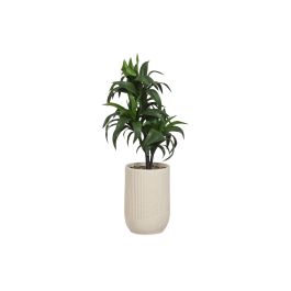 DKD Home Decor Planta Decorativa Artificial Verde Beige de PE y Resina, 102 cm de alto x 50 cm de ancho y fondo Precio: 74.58999988. SKU: B13GY2RR62