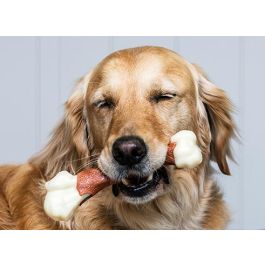 Nylabone Extreme Chew Hueso Fémur Masticable para Perros XL Sabor Ternera Nylon Duradero con Limpieza Dental para Masticadores Potentes