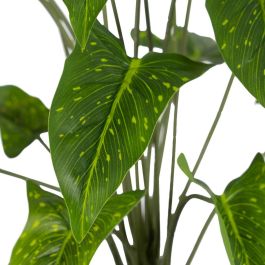 Rama Singonio Verde "Pvc" 43 X 41 X 46 cm