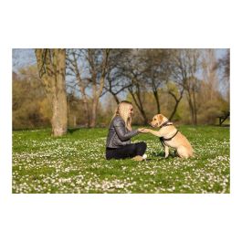 Arnés para Perro Company of Animals Halti Talla M (34-56 cm) Arnés para Perro Company of Animals Halti Talla M (34-56 cm)