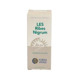 FORZA VITALE Grosellero Negro (Ribes Nigrum) 50ml para Vías Respiratorias Normales Precio: 16.5. SKU: B1GHACPB3W