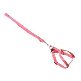 Correa Mascota 1,2 M Arnes Reflect Peq Surtidos Mascow 17X27CM (24 Unidades) Correa Mascota 1,2 M Arnes Reflect Peq Surtidos Mascow 17X27CM (24 Unidades)