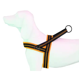 Freedog Arnés Soft-Sport Nj Neon T-XS 15 mmx48-56 cm Precio: 10.756899358699998. SKU: B1JFAMX54E