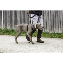 Halti Arnés Antitirones No-Pull para Perros Talla S - Cuello Ajustable 22-36cm - Doble Función de Control - Varios Niveles de Tirón - Poliéster