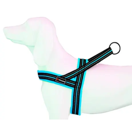 Freedog Arnés Soft Sport Turquesa 20 mm para perros 54-64 cm Precio: 11.49999972. SKU: B1FPC7A2WA