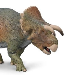 Collecta 80025 Furcatoceratops - Figura Réplica Animal Marino Pintada a Mano a Escala - Modelo Detallado Educacional