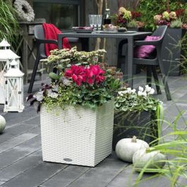 Maceta LECHUZA Cube Cottage 50 - kit completo, blanco - Plástico - 14 L - 49 x 49 x 49,5 cm Maceta LECHUZA Cube Cottage 50 - kit completo, blanco - Plástico - 14 L - 49 x 49 x 49,5 cm