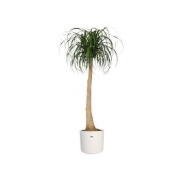 ELHO B.for Maceta Soft Round 35 - Blanco - Ø 35 x H 32 cm - interior - 100% reciclado ELHO B.for Maceta Soft Round 35 - Blanco - Ø 35 x H 32 cm - interior - 100% reciclado