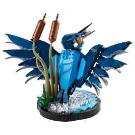 Lego 10331 Icons Kingfisher (Kungsfiskare) Fauna 2024 V29 - Set de construcción de kungsfiskare para adultos con soporte de exhibición