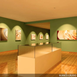 Foco Downlight LED COB Circular Orientable 40W 5000Lm 2700K HO-COB-OR-40W-WW