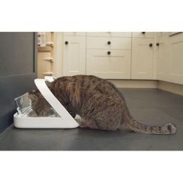 SUREFEED Dispensador de comida con chips electrónicos blancos para gatos y perros: para comida seca o comida húmeda SUREFEED Dispensador de comida con chips electrónicos blancos para gatos y perros: para comida seca o comida húmeda