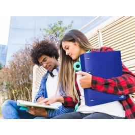 Liderpapel Carpeta 4 Anillas 40 mm Polipropileno Din A4 Azul Translucido