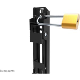 Neomounts Wl30S-850Bl12 Soporte de Pared Fijo para TV 24-55", VESA 50x50-200x200mm, 50kg, Negro, con Sistema Magnético Pull & Release