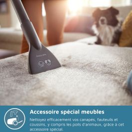 Philips XB2123/09 - Aspirador sin Bolsa Compacto de Bidón, 850 W, 1.3 L, Azul Oscuro/Melocotón