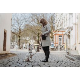 Hunter Collar Inari Alu-Strong L para perro, Cuello 40-55cm, 20mm Ancho, Beige, Cierre Aluminio 200kg, Ajustable, Robusto