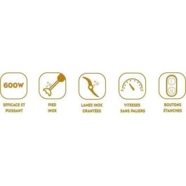 Little Balance LIT3760240784593 Batidora de mano Speed Inox 600