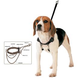 Arnés Corrector De Tiro M Cuello 30-42 cm Precio: 13.50000025. SKU: S6103715