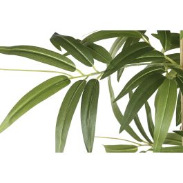 DKD Home Decor Planta Oriental Bambú Verde 190 cm Alto x 100 cm Ancho x 60 cm Largo de PE y Madera