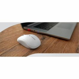 Cherry MW 2200 CHE1732613425408 Ratón inalámbrico 2.4 GHz compacto para portátil, nanorreceptor USB, negro