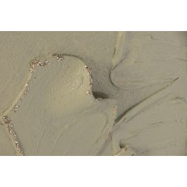 DKD Home Decor Cuadro Tropical Verde 5 x 82 x 82 cm (2 Unidades)