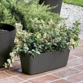 Deroma DER0191942096166 Jardinera Origin 18 L Antracita Deroma DER0191942096166 Jardinera Origin 18 L Antracita