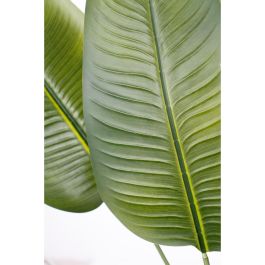 Planta Decorativa Romimex Strelitzia Plástico 110 x 210 x 70 cm