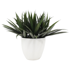 DKD Home Decor Planta Artificial Verde y Blanca de 60 x 62 x 60 cm (2 Unidades) de PE y Magnesia Precio: 125.99000007. SKU: B1DTX7T6NJ