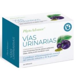 Phytoadvance Vias Urinarias 30 Cap Precio: 26.4999999. SKU: B1B9BQR5PK