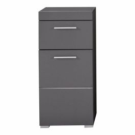 Trendteam Mueble Bajo Baño AMANDA 1 Puerta 1 Cajón Gris L37 x P31 x H79 cm Precio: 109.50000028. SKU: B1DEKPPQHX