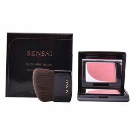 Colorete Kanebo 4 g Colorete Kanebo 4 g Precio: 35.50000003. SKU: S0564156