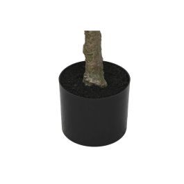 DKD Home Decor Árbol Tropical Artificial Frangipani Tahití PE, Blanco Verde Natural, 150 cm Alto x 80 cm Ancho x 80 cm Largo DKD Home Decor Árbol Tropical Artificial Frangipani Tahití PE, Blanco Verde Natural, 150 cm Alto x 80 cm Ancho x 80 cm Largo