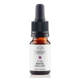 Sauce 10 Ml Precio: 11.49999972. SKU: B1B5J6RQSE
